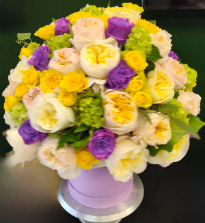Peony Delight 