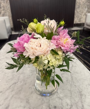 Peony Designers Choice Limited Designers Choice