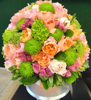 Peony Paradise 