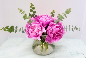 Peony Special (First of the Season) Mothers Day