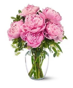 Peony Vase arr