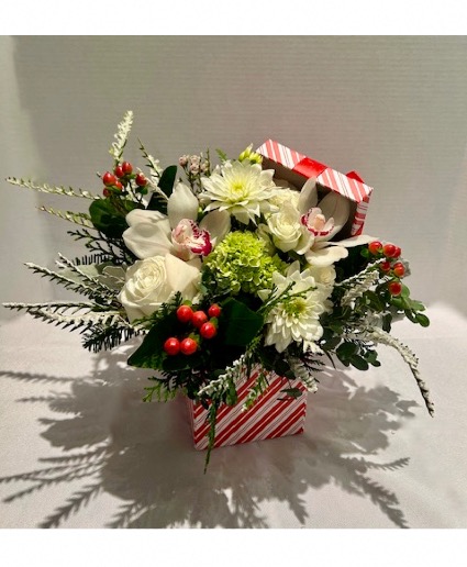 Festive Berries Bloom Box