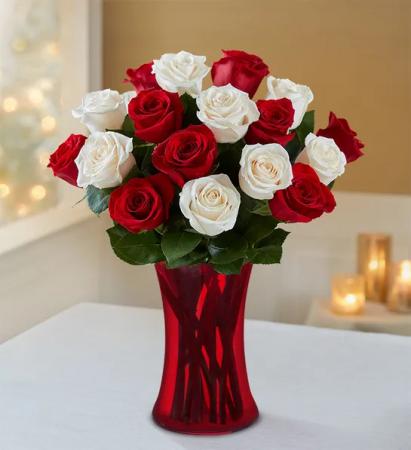 Peppermint Rose 18 Roses Arrangement