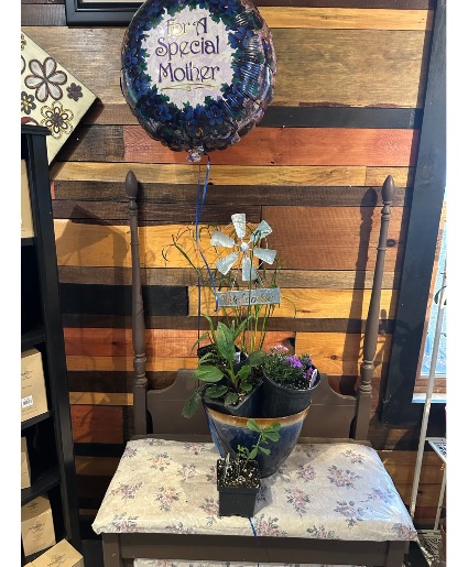 Perennial Planter W/ Mylar balloon & Welcome Sign Perennial