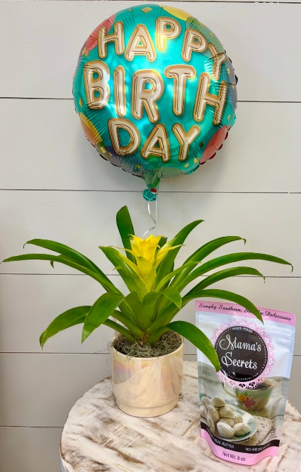 Perfect Birthday Combo "Cookies" 