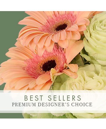 Perfect Choice Best Seller Premium Designer's Choice in Owensboro, KY | Ivy Trellis Floral
