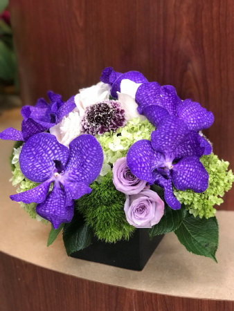 Perfect In Purple 