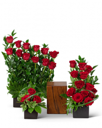 Perfect Love Surround Sympathy Arrangement