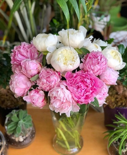 Perfect Peonies here for limited time! Vase Arrangement