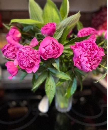 Perfect Peonies  Color Depends on Variety Available
