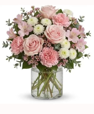 Perfect Soft Whispers Roses