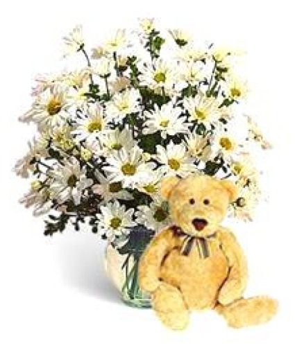 Perfectly Pure Daisies & Bear 