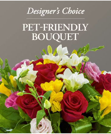Pet Freindly Designers Choice Pet Safe Flowers in Edmonton, AB | PETALS ON THE TRAIL