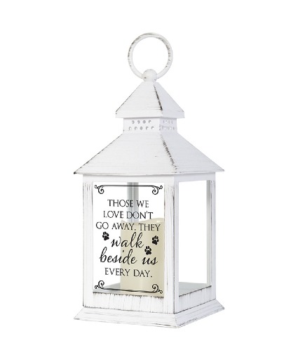 Pet Lantern Sympathy