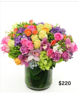Petal-Theory 