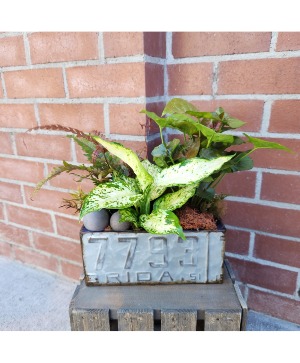 Petal To The Metal Planter Planter 