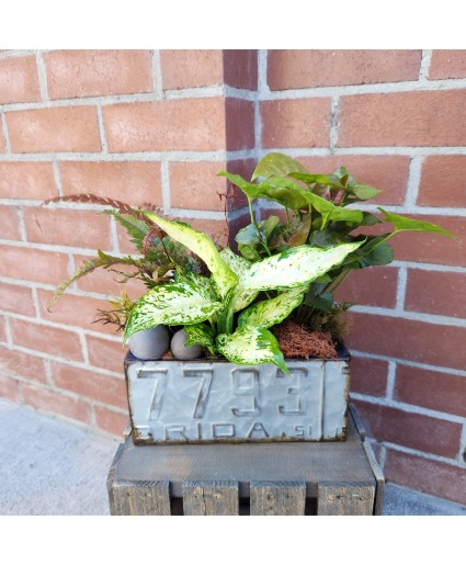 Petal To The Metal Planter Planter 