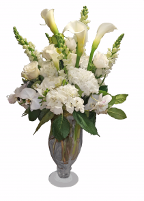 Petite Dame Blanche Cut Flowers