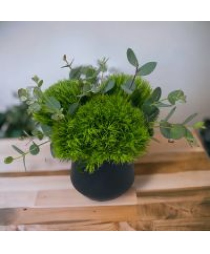 Petite & Chic All Green Vase Arrangement