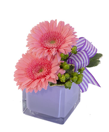 Petite Gerberas Floral Design in Albany, NY | Ambiance Florals & Events