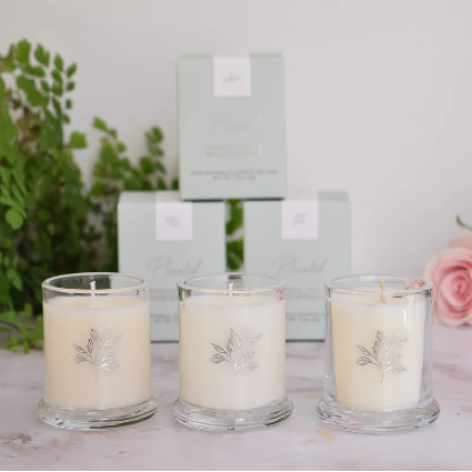 Petite Trio  Planted Candles