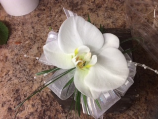 Phalaenopsis Corsage Wristlet