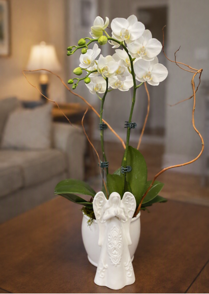 Phalaenopsis Orchid / 2 Stems Lifestyle Arrangement