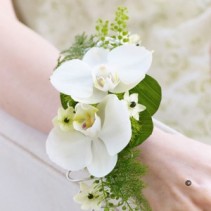 phalaenopsis orchid corsage 