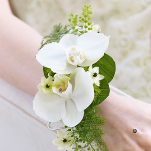 phalaenopsis orchid corsage 