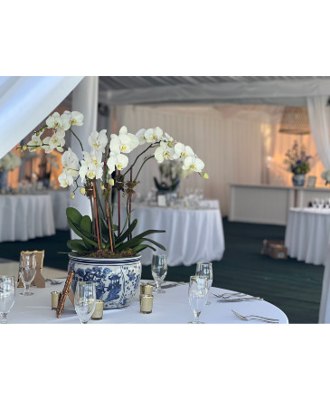 Phalanenopsis Orchid Table Centerpiece in Darien, CT | DARIEN FLOWERS