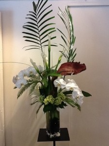 phaleonopsis orchids modern arrangment