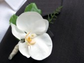 Phalaenopsis Orchid boutineer 