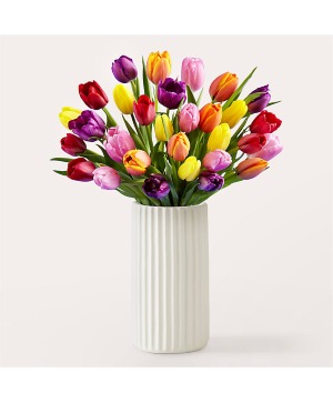 Picnic Tulips 