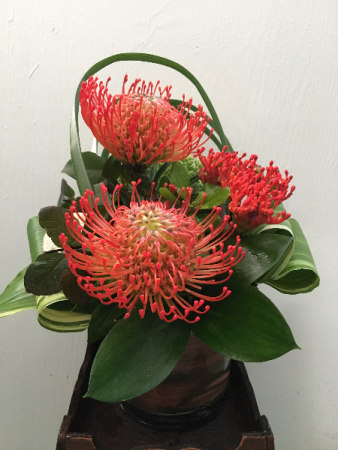 Pincushion Protea Paradise  Vase Arrangement