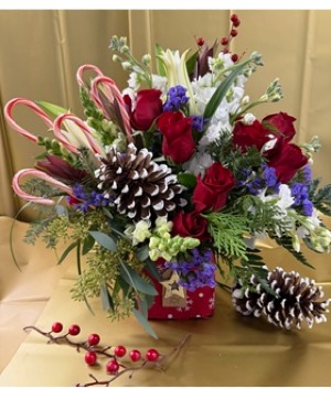 Pinecane  Christmas 