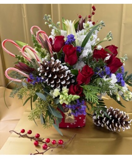 Pinecane  Christmas 