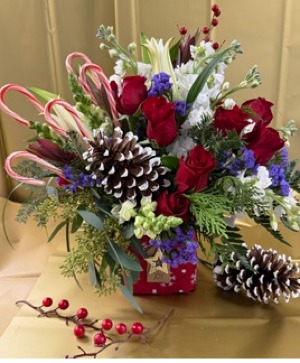 Pinecane  Christmas 