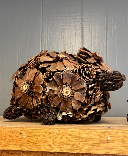 Pinecone Turtle 