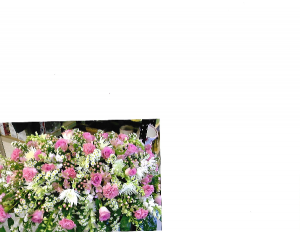 Pink and White 