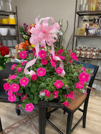 Beautiful Hanging Baskets Many Varieties to Choose From