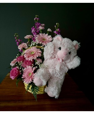 Pink Blesssings new baby