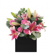 Pink Blooms All Occasion