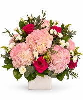 Pink Blush 