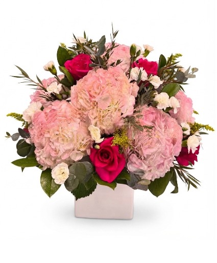 Pink Blush 
