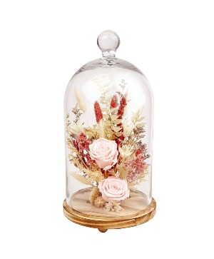 15" Pink Rose Cloche  Preserved Botanicals