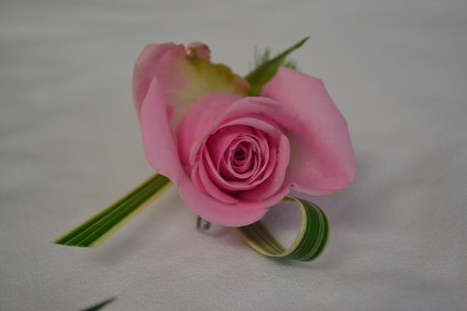 pink boutonnier boutonnier