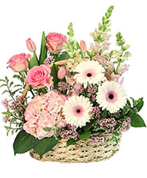 Pink Bundles of Joy Basket Arrangement
