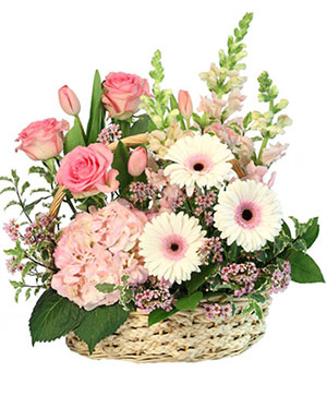 Pink Bundles of Joy Basket Arrangement