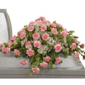 Pink Carnation and Babies Breath Casket spray FS-887