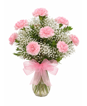 Pink Carnations 